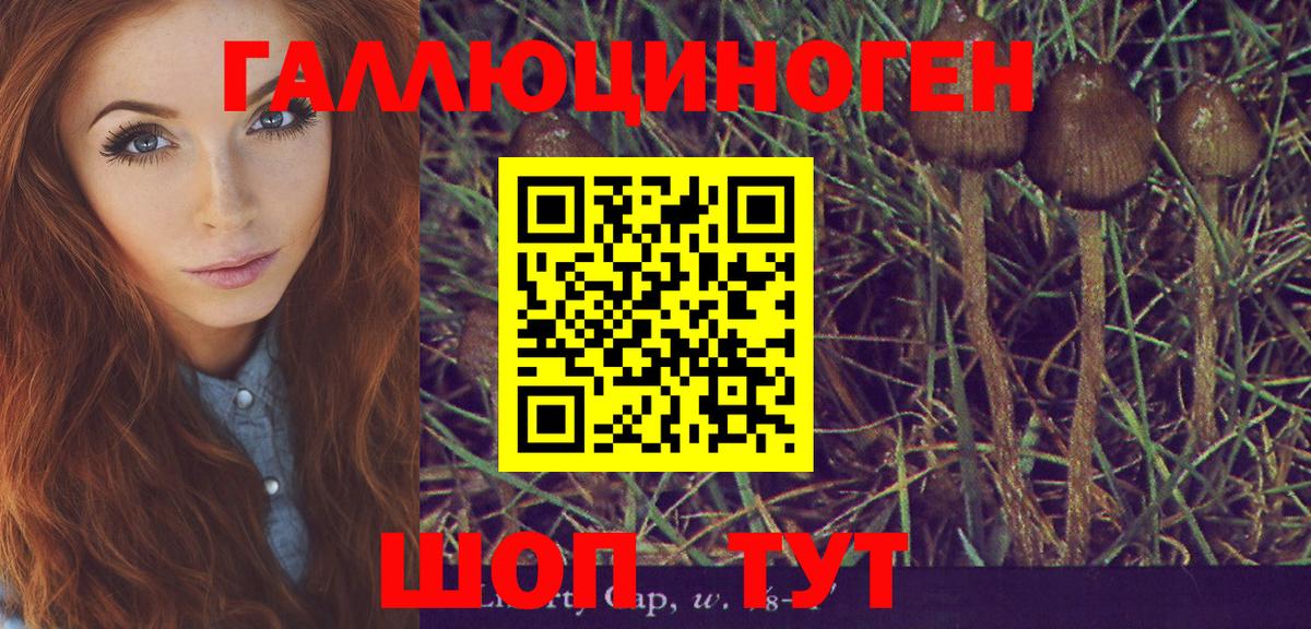 Тулун  Галлюциногенные грибы Psilocybine cubensis  Вход с VPN  Галлюциногенные грибы мухоморы 