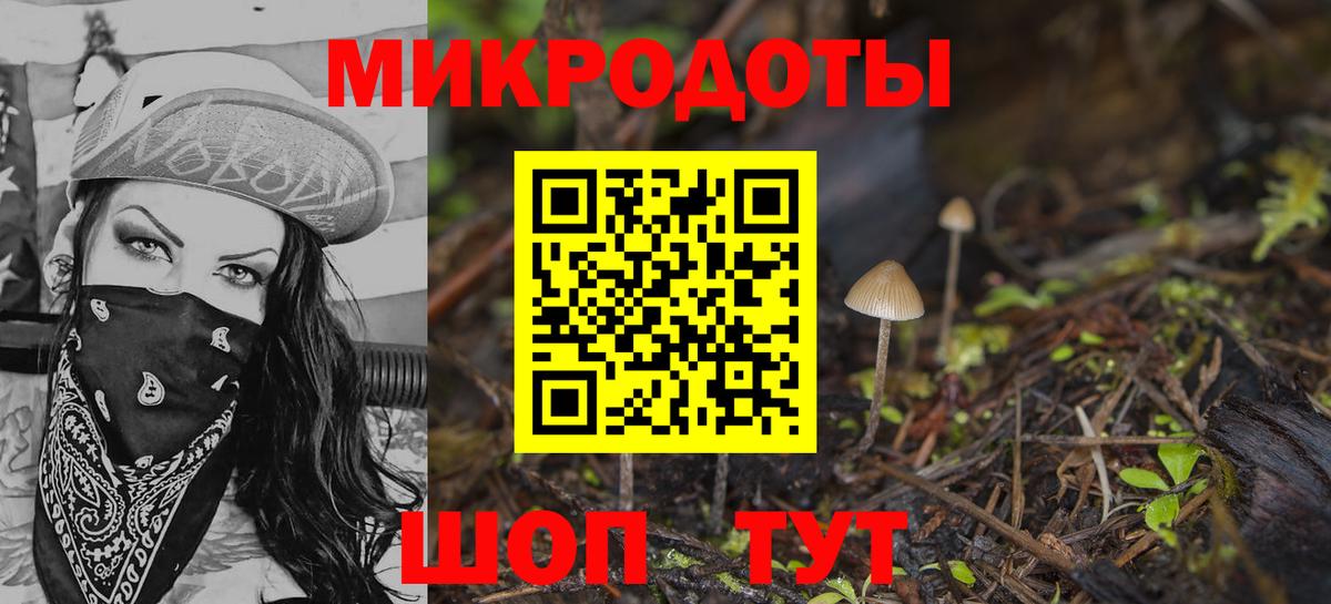 Галлюциногенные грибы Psilocybine cubensis Тулун